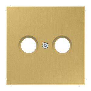 Afdekking TV-FM LS messing klassiek