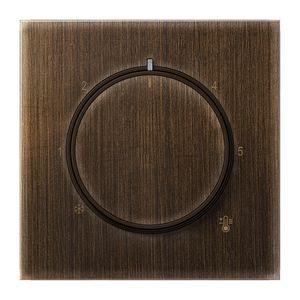 Thermostaatafdekking LS messing antiek