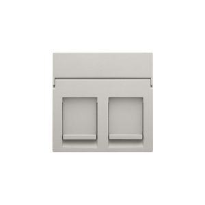 Centraalplaat data 2x RJ light grey