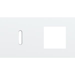 Afdekplaat 2-voud horiz. 71mm centerafst. 154-56805