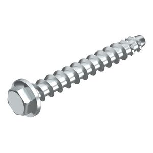 Schroefanker brandwerend aangedr. sluitring 10x80mm VVE=25