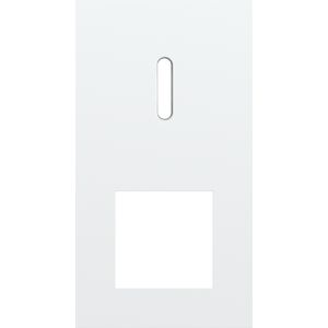 Afdekplaat 2-voud vertic. 71mm centerafst 154-56855