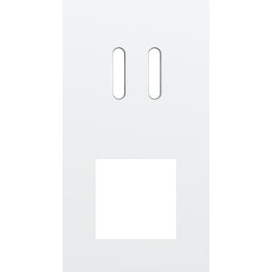 Afdekplaat 2-voud vertic. 71mm centerafst 154-56856