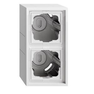 opbouwbehuizing 2-voudig + Afdekraam Gira F300 zuiver wit