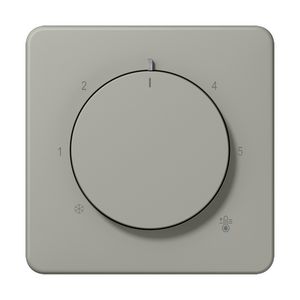 Thermostaatafdekking CD slagvast platina