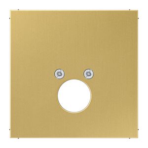 Afdekking luidspreker-BNC LS messing klass.