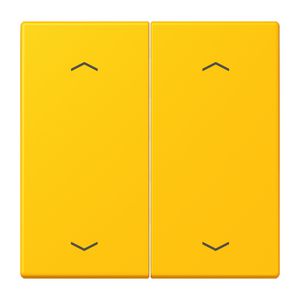 Wip KNX-F10 taster 2voudig pijl LC4320W