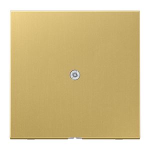 Afdekking kabelinvoer LS messing klass.