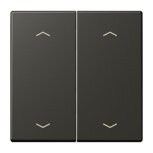 Wip KNX-F10 taster 2voudig pijl LC4320R