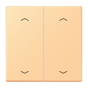 Wip KNX-F10 taster 2voudig pijl LC4320P