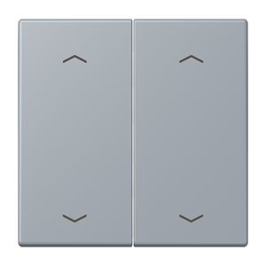 Wip KNX-F10 taster 2voudig pijl LC4320O
