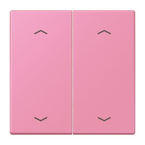 Wip KNX-F10 taster 2voudig pijl LC4320C