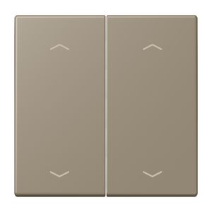 Wip KNX-F10 taster 2voudig pijl LC32141