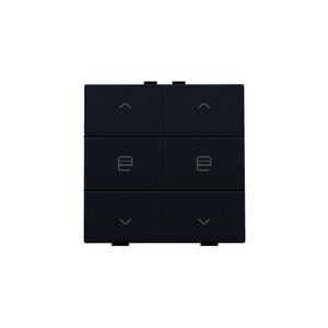 Dubbele motorsturingsbediening Home Control black c.