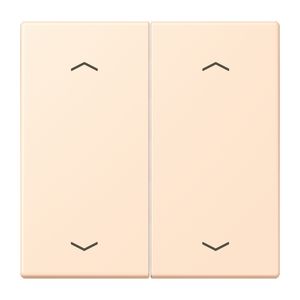 Wip KNX-F10 taster 2voudig pijl LC32123