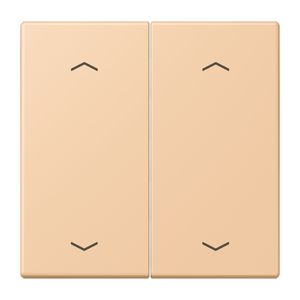 Wip KNX-F10 taster 2voudig pijl LC32122