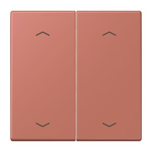 Wip KNX-F10 taster 2voudig pijl LC32121