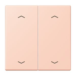 Wip KNX-F10 taster 2voudig pijl LC32112