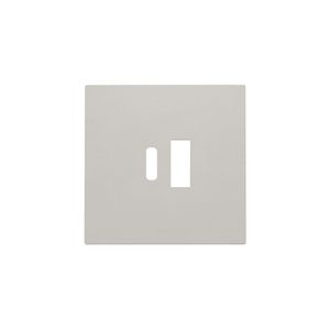 Afwerkingsset voor dubbele smart USB-A- en USB-C-lader light grey