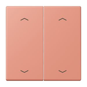 Wip KNX-F10 taster 2voudig pijl LC32111
