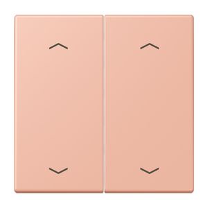 Wip KNX-F10 taster 2voudig pijl LC32102