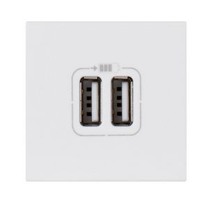 USB lader 5V 2400mA 2 modulen Mosaic