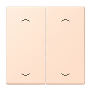 Wip KNX-F10 taster 2voudig pijl LC32091
