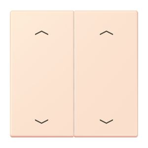 Wip KNX-F10 taster 2voudig pijl LC32082