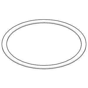 Ring 99X1mm