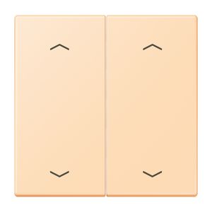 Wip KNX-F10 taster 2voudig pijl LC32060