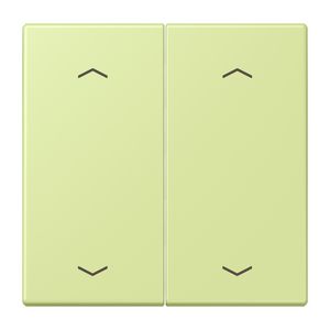 Wip KNX-F10 taster 2voudig pijl LC32053