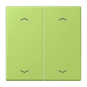 Wip KNX-F10 taster 2voudig pijl LC32052