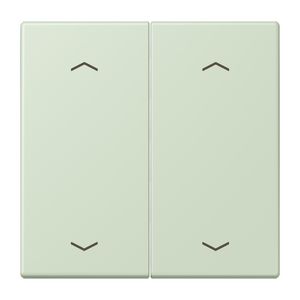 Wip KNX-F10 taster 2voudig pijl LC32042