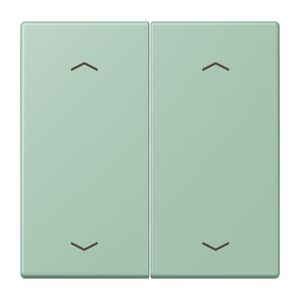 Wip KNX-F10 taster 2voudig pijl LC32041