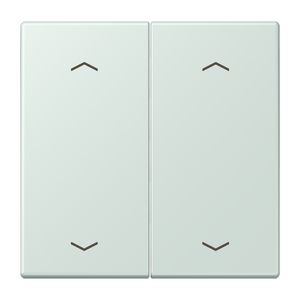 Wip KNX-F10 taster 2voudig pijl LC32034