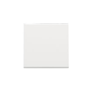 Afwerkingsset enkelv. elektr. schakelaar/knop white c.