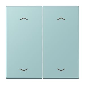 Wip KNX-F10 taster 2voudig pijl LC32033