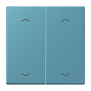 Wip KNX-F10 taster 2voudig pijl LC32031
