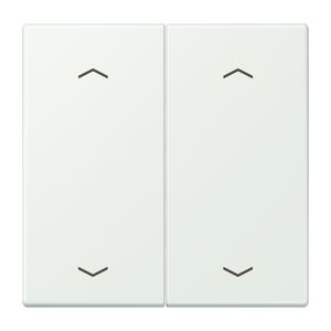 Wip KNX-F10 taster 2voudig pijl LC32024