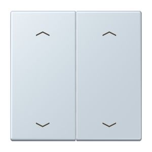 Wip KNX-F10 taster 2voudig pijl LC32023