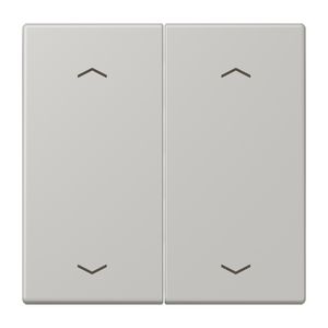 Wip KNX-F10 taster 2voudig pijl LC32013