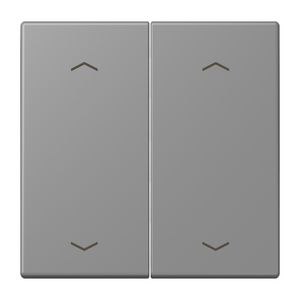 Wip KNX-F10 taster 2voudig pijl LC32011