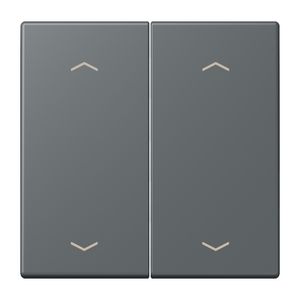 Wip KNX-F10 taster 2voudig pijl LC32010