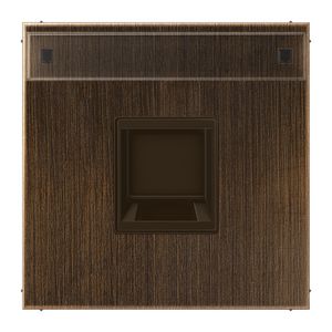 Afdekking LS messing ant.v.mod.jack 1-voudig.