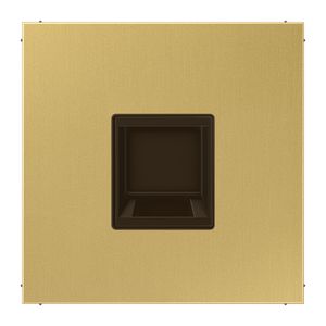 Afdekking LS messing clas.v.mod.jack 1-voudig.