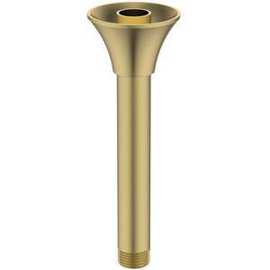 Douchearm hoofddouche 55x55x180mm brushed gold La Dolce Vita
