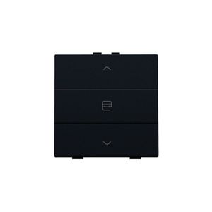 Enkelv. motorbediening Home Control black coated