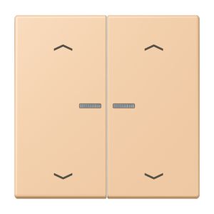 Wip HOME/KNX-F10 2voudig lens+pijlen LC32122