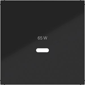 Centraalplaat voor USB-C-contactdoos A.x/C.x nachtzwart glan