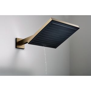 Pulsify Douchearm E 39cm Brushed Bronze